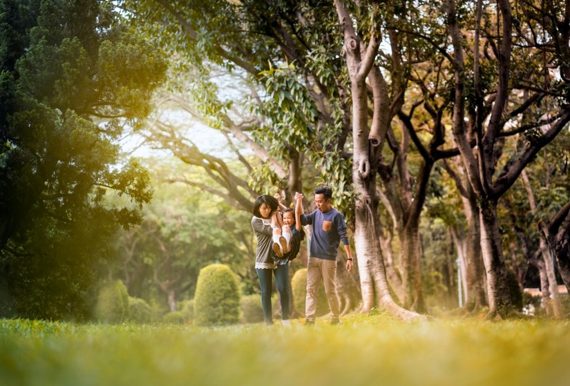 Người d&acirc;n Thủ đ&ocirc; sẵn s&agrave;ng chi trả để tăng diện t&iacute;ch c&acirc;y xanh