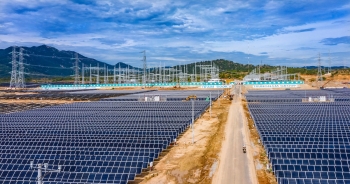 Trungnam Group báo lãi giảm sâu, tổng tài sản đạt hơn 96.000 tỷ đồng