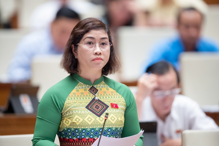 Đại biểu Phạm Thị Kiều - Đo&agrave;n ĐBQH tỉnh Đắk N&ocirc;ng.