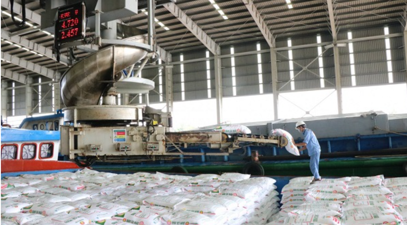 Lượng ti&ecirc;u thụ NPK của Đạm C&agrave; Mau dự kiến cao gấp 12 lần trong th&aacute;ng 5