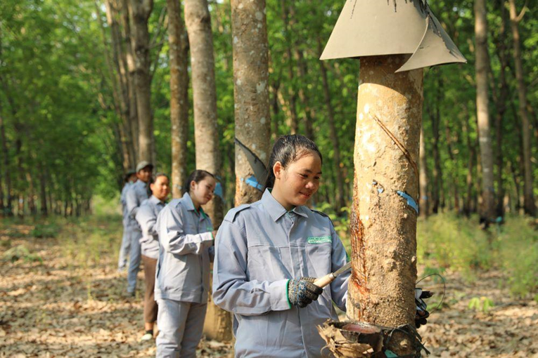 Thaco Agri đẩy mạnh tuyển dụng c&ocirc;ng nh&acirc;n tại c&aacute;c địa phương thuộc L&agrave;o, Campuchia. Ảnh: Thaco Group