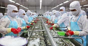 Doanh nghiệp tôm 'hân hoan' tăng lợi nhuận, cá tra 'ngậm ngùi' giảm doanh số