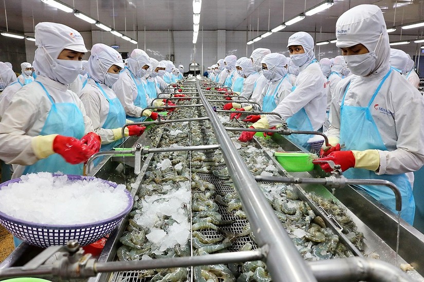 Trang Nhà Cái 555win.com - Đăng Nhập +555k t&ocirc;m &amp;amp;apos;h&acirc;n hoan&amp;amp;apos; tăng lợi nhuận, c&aacute; tra &amp;amp;apos;ngậm ng&ugrave;i&amp;amp;apos; giảm doanh số
