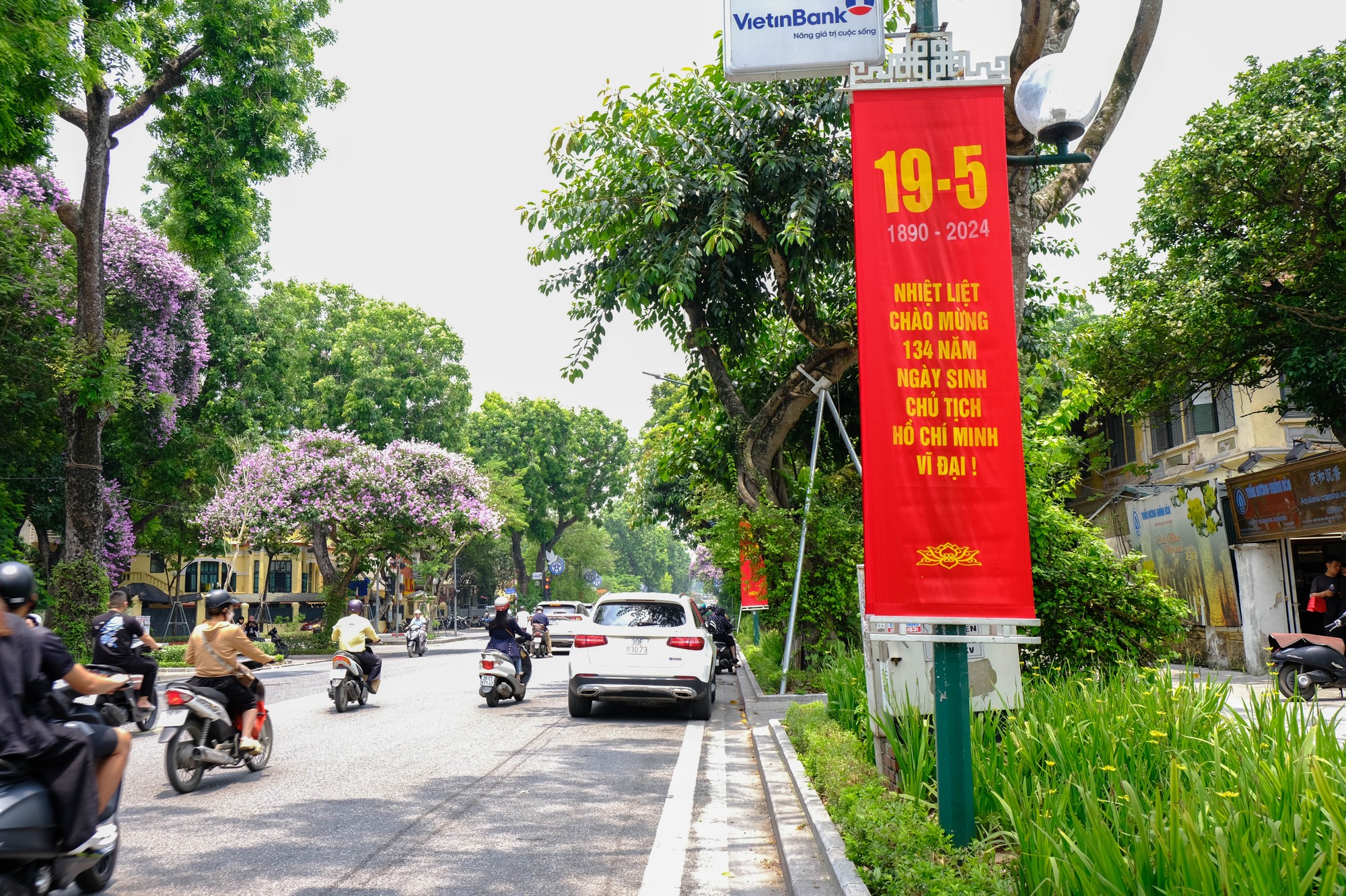 Những c&acirc;y hoa bằng lăng nở rộ đ&uacute;ng dịp kỷ niệm sinh nhật của Hồ Chủ tịch. Ảnh: L&ecirc; An/555win Login.