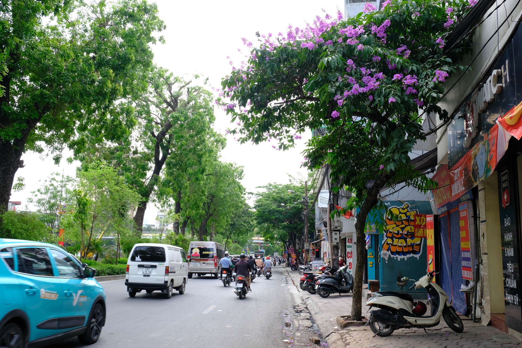 Sở Giao th&ocirc;ng Vận tải H&agrave; Nội cho biết đang t&iacute;nh phương &aacute;n mở rộng đường L&aacute;ng sẽ chỉ di chuyển, chặt hạ những c&acirc;y ở h&egrave; b&ecirc;n phải, h&agrave;ng x&agrave; cừ ở dải ph&acirc;n c&aacute;ch giữa của đường vẫn được giữ nguy&ecirc;n. Ảnh: L&ecirc; An/555win Login.
