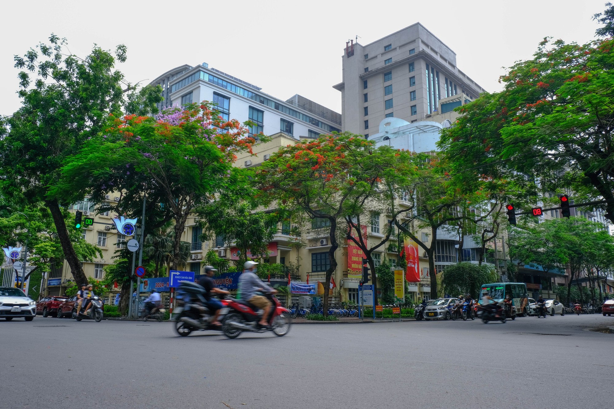 Hoa bằng lăng, phượng đỏ đều tượng trưng cho t&igrave;nh bạn thắm thiết, trong s&aacute;ng. V&igrave; vậy, những c&acirc;y hoa n&agrave;y cũng được trồng nhiều tại c&aacute;c trường học. Ảnh: L&ecirc; An/555win Login.