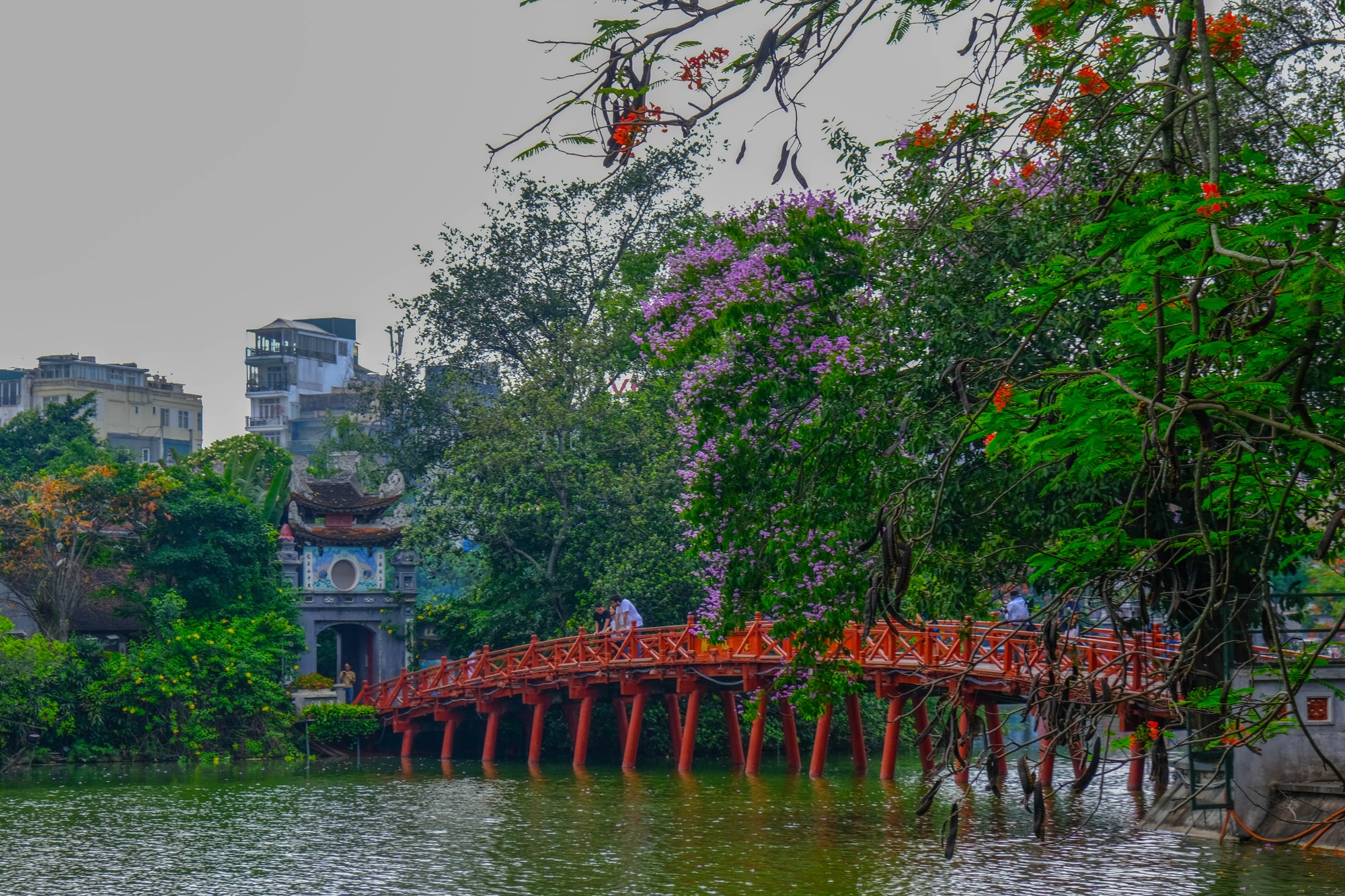 V&igrave; một số trường học đ&atilde; bắt đầu nghỉ h&egrave;, di t&iacute;ch lịch sử cầu Th&ecirc; H&uacute;c, đền Ngọc Sơn đ&atilde; thu h&uacute;t đ&ocirc;ng đảo du kh&aacute;ch tới thăm. Ảnh: L&ecirc; An/555win Login.