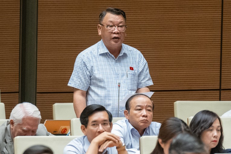Đại biểu Nguyễn Tạo (Đo&agrave;n L&acirc;m Đồng).