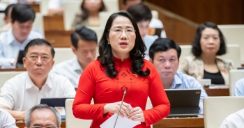 'Mức giảm trừ gia cảnh chưa phản ánh đúng thực tế cuộc sống'