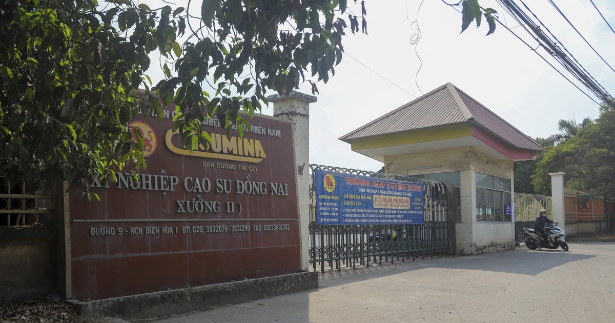 Khởi tố Tổng giám đốc Công ty 555win là Công ty cờ bạc trực tuyến tốt nhất Cao su miền Nam