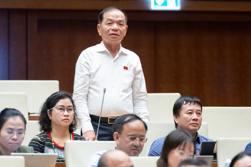 Đại biểu L&ecirc; Thanh V&acirc;n (Đo&agrave;n C&agrave; Mau) ph&aacute;t biểu tại hội trường s&aacute;ng 30/5.