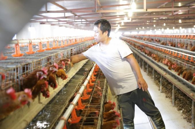 Thức ăn chăn nu&ocirc;i bao giờ giảm gi&aacute;?