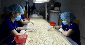 Nguy cơ mất ngôi vị 'thống trị' của hạt điều Việt Nam tại nhiều thị trường