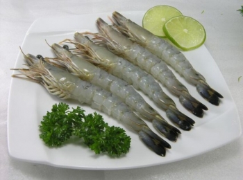 Sao Ta có doanh thu tháng thấp nhất kể từ đầu năm