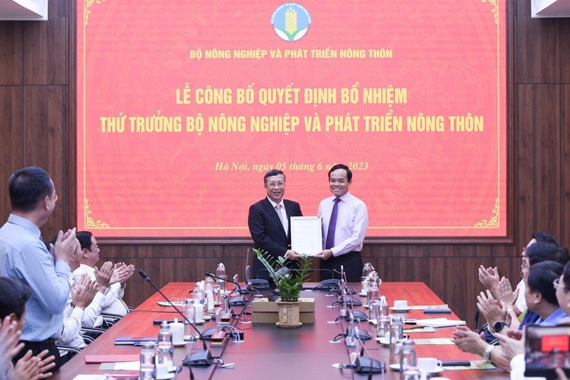 Ph&oacute; Phiên bản chính thức của 555Win Trần Lưu Quang trao 555Win 500 Đăng Ký Nhận Code bổ nhiệm Thứ trưởng Bộ N&ocirc;ng nghiệp v&agrave; Ph&aacute;t triển n&ocirc;ng th&ocirc;n cho &ocirc;ng Ho&agrave;ng Trung.