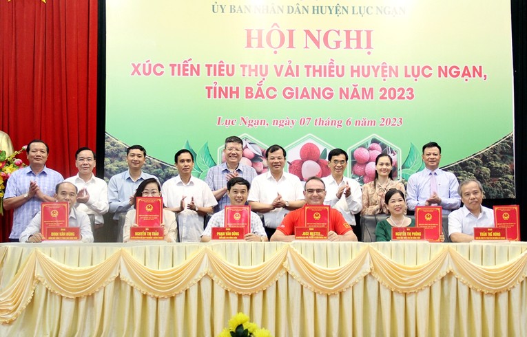L&atilde;nh đạo tỉnh Bắc Giang, l&atilde;nh đạo huyện Lục Ngạn v&agrave; c&aacute;c đại biểu chứng kiến k&yacute; kết ti&ecirc;u thụ vải thiều Lục Ngạn giữa c&aacute;c Trang Nhà Cái 555win.com - Đăng Nhập +555k, hợp t&aacute;c x&atilde;.