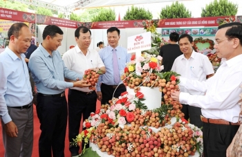 Bắc Giang kết nối tiêu thụ cho sản phẩm vải thiều Lục Ngạn vươn xa