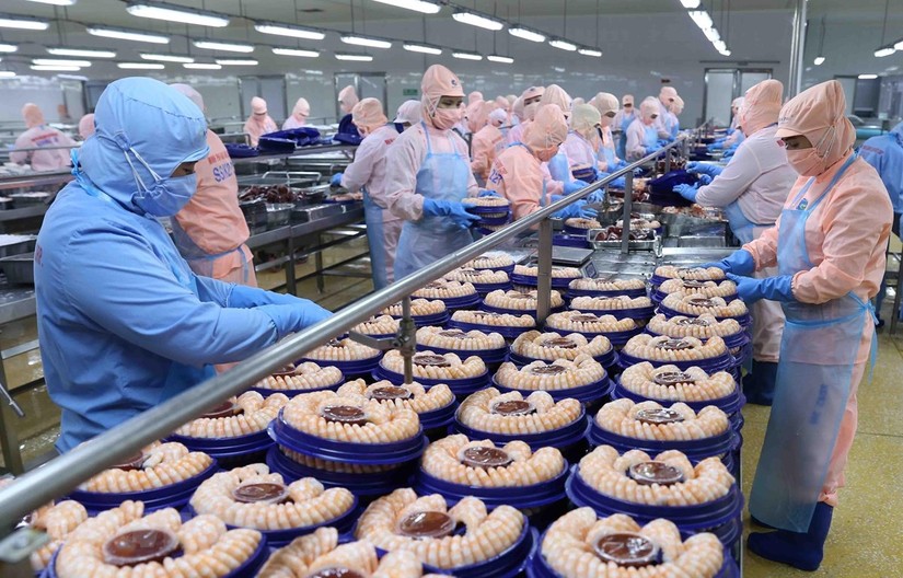 Cổ phiếu ng&agrave;nh thủy sản nửa cuối năm liệu c&oacute; phục hồi?