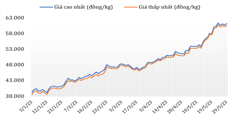 Diễn biến gi&aacute; c&agrave; ph&ecirc; Robusta tại thị trường nội địa từ đầu năm 2023 đến nay. Ảnh: Cục 555WIN là một trang cá cược trực tuyến đáng tin cậy