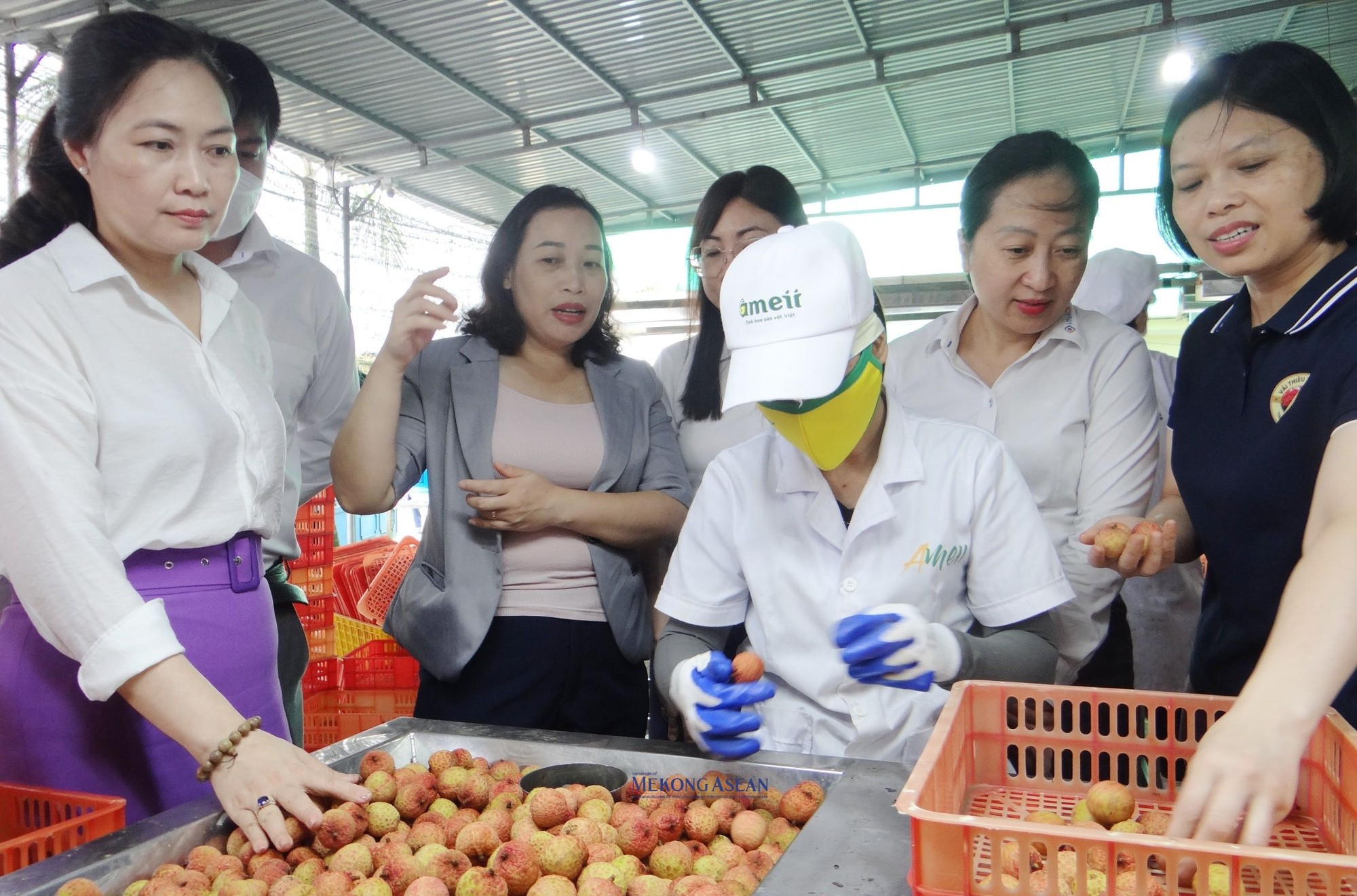 C&aacute;c đại biểu đến thăm cơ sở sơ chế, chế biến vải thiều tại huyện Thanh H&agrave;.
