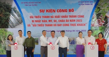 Vải thiều Thanh Hà xuất hiện trên thực đơn của các chuyến bay