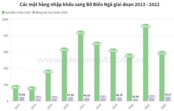 Việt Nam xuất nhập khẩu mặt hàng nào nhiều nhất với Bờ Biển Ngà?