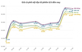 Giá cà phê nội địa phiên 17/6 quay đầu giảm sau đà tăng nóng