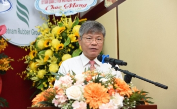 GVR dự kiến chuyển đổi 40.000 ha cao su thành đất công nghiệp