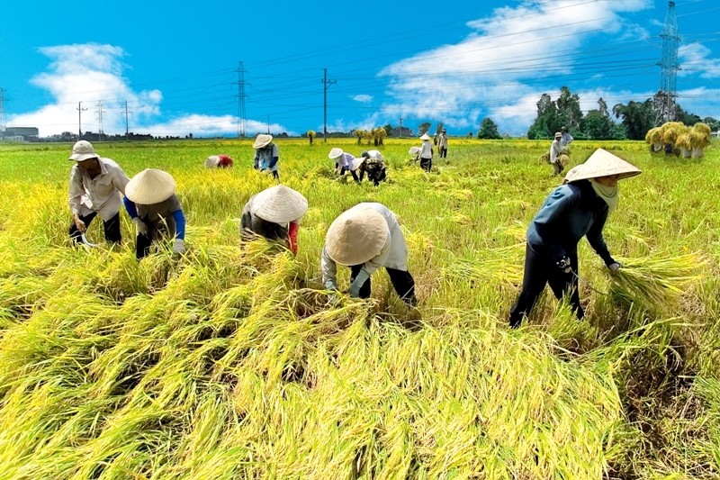 Hợp t&aacute;c x&atilde; kh&ocirc;ng được huy động vốn để cho vay nội bộ