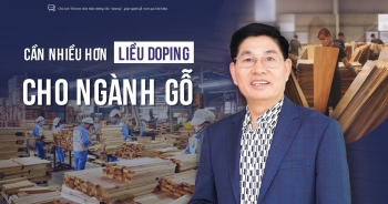 Cần nhiều hơn 'liều doping' cho ngành gỗ