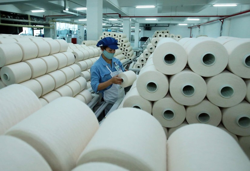 Sợi Thế Kỷ chốt ng&agrave;y trả cổ tức bằng cổ phiếu tỷ lệ 15%