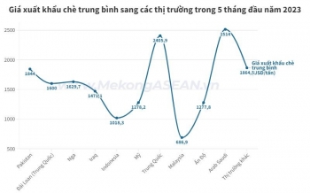 Pakistan tiếp tục là thị trường xuất khẩu chè lớn nhất của Việt Nam