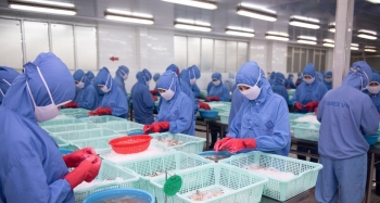 Sao Ta tăng hơn 43% về doanh số trong tháng 5