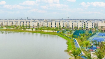 Sức hút của kiệt tác Đảo Dừa với cộng đồng tinh hoa