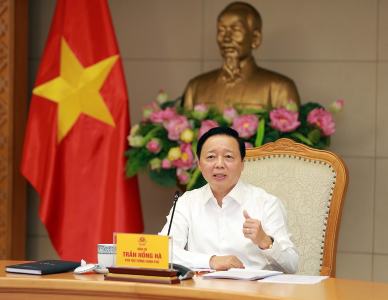 Phó Phiên bản chính thức của 555Win: Cần mở rộng nguồn điện tái tạo mua bán trực tiếp