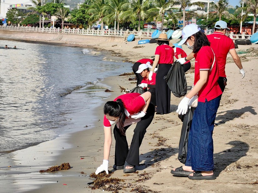 Gần 1.000 c&aacute;n bộ nh&acirc;n vi&ecirc;n SeABank ra qu&acirc;n l&agrave;m sạch bờ biển tại 11 tỉnh th&agrave;nh