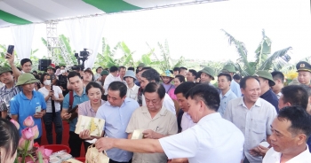 Ngày hội lúa rươi hữu cơ Tứ Kỳ tại Hải Dương