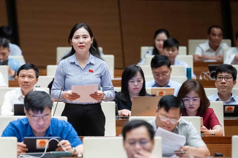 Đại biểu &Acirc;u Thị Mai (Đo&agrave;n Tuy&ecirc;n Quang).
