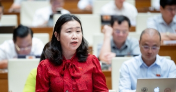 ĐBQH tranh luận về đề xuất đầu tư trung tâm văn hoá ở nước ngoài