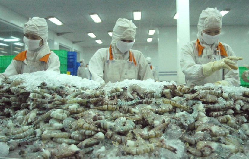 Việt Nam xuất khẩu t&ocirc;m sang 103 thị trường trong 5 th&aacute;ng
