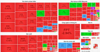 Bán tháo trên diện rộng, VN-Index ‘rơi tự do’ trong phiên giao dịch tỷ USD