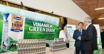 Doanh nghiệp Việt 'mang chuông đi đánh xứ người' và khát vọng toàn cầu