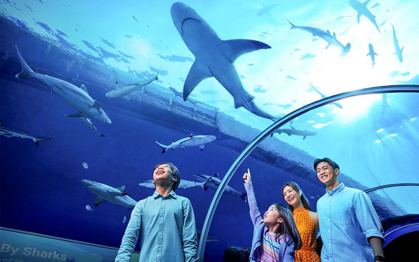 Singapore c&oacute; nhiều yếu tố ph&ugrave; hợp để đưa trẻ nhỏ đi du lịch. Ảnh: Resort World Sentosa.