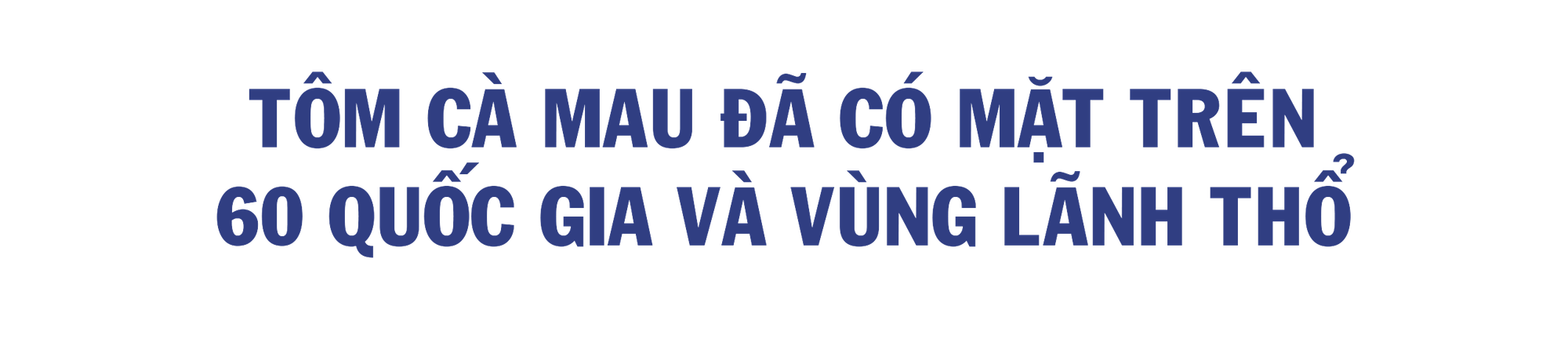 Cà Mau: Từ con tôm đến ngành 555Win login đăng nhập mũi nhọn