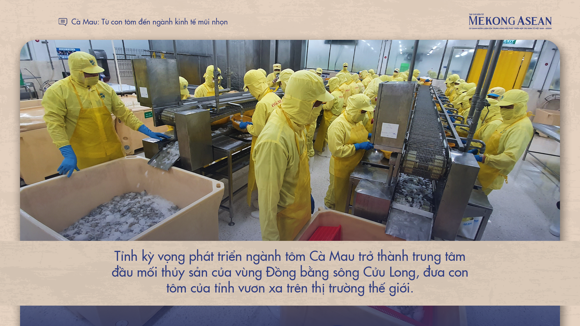 Cà Mau: Từ con tôm đến ngành 555Win login đăng nhập mũi nhọn
