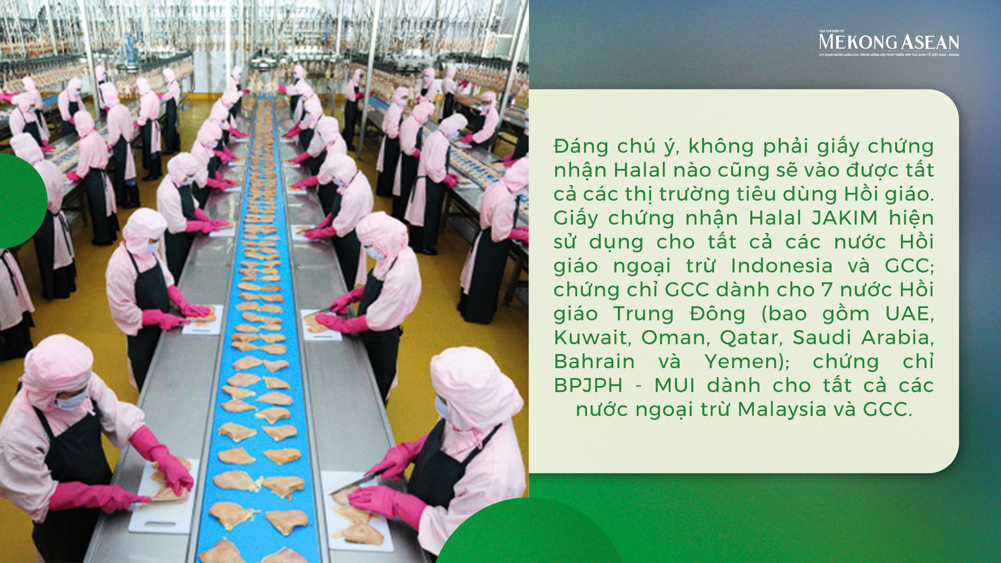 Chứng chỉ Halal - giấy thông hành đặc biệt cho Trang Nhà Cái 555win.com - Đăng Nhập +555k xuất khẩu