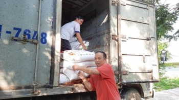 6 thang dau nam 2021 gia thuc an chan nuoi tiep tuc tang