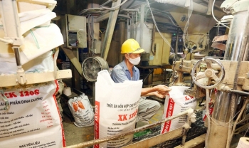 Việt Nam chỉ tự chủ được khoảng 37% thức ăn chăn nuôi