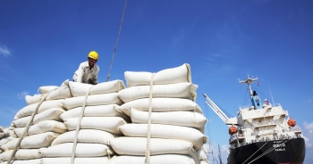 An Giang được yêu cầu tập trung tạo nguồn cung bền vững cho xuất khẩu