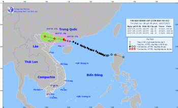 Bão Talim giảm cấp, cách Móng Cái 100km